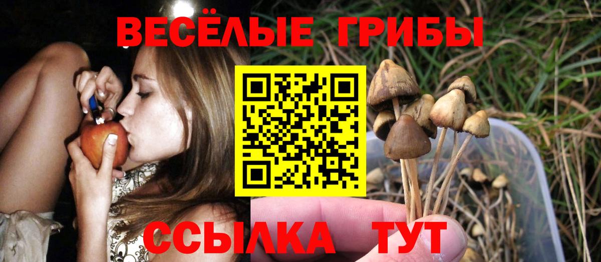 Кириши  купить   Вход с VPN  Псилоцибиновые грибы прущие грибы 